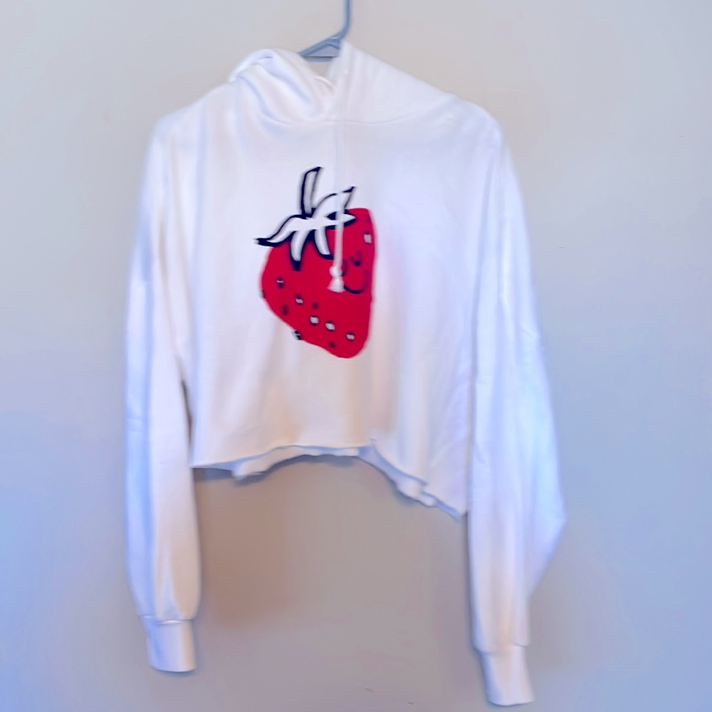 Levi’ Graphic Crop Prism Hoodie